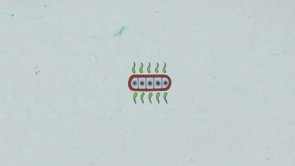 Бревенчатый день тембра