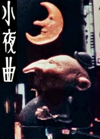 Серенада [31761]