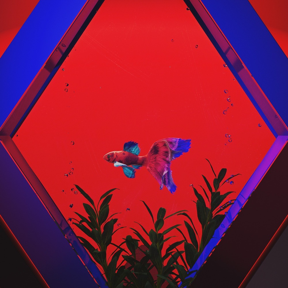 Минувшая вспышка